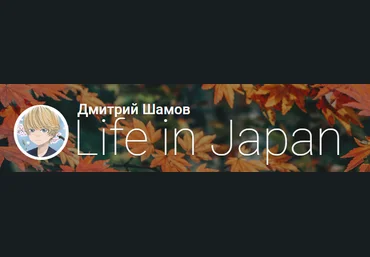 Дмитрий Шамов Уроки японского 8-ой выпуск Life in Japan 2019 слив