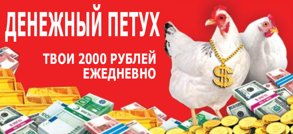 Денежный петух. От 2000 рублей в день слив курса