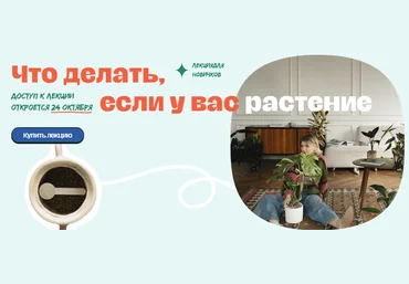 Яна Строинская Что делать если у вас растение? Тариф Сами с Усами 2024 слив