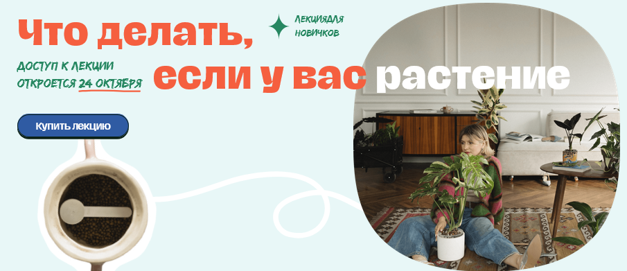 Яна Строинская Что делать если у вас растение? Тариф Сами с Усами 2024 слив курса