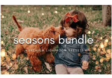 Elements.Envato Seasons Bundle Fall & Winter Lightroom Presets 2021 слив
