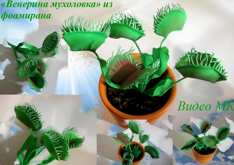 Венерина мухоловка из фоамирана - Мирсанова 2016 слив курса