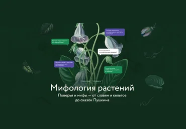 А. Баркова Мифология растений. Поверья и мифы - от славян и кельтов до сказок Пушкина 2025 скачать слив