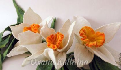 Нарцисс - Калинина 2014 слив курса