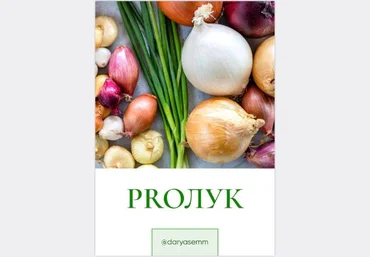 Рыжий Фермер Дарья Яковлева - Методичка по выращиваю зеленого лука «PROЛУК» 2023 слив