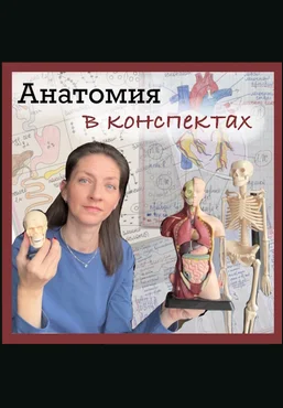 Алина Чабуткина Анатомия в конспектах. 8-9 классы 2025 скачать слив