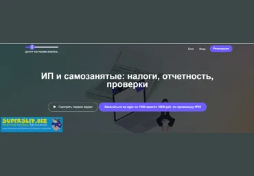 Людмила Ганичева ИП и самозанятые: налоги, отчетность, проверки 2019 слив