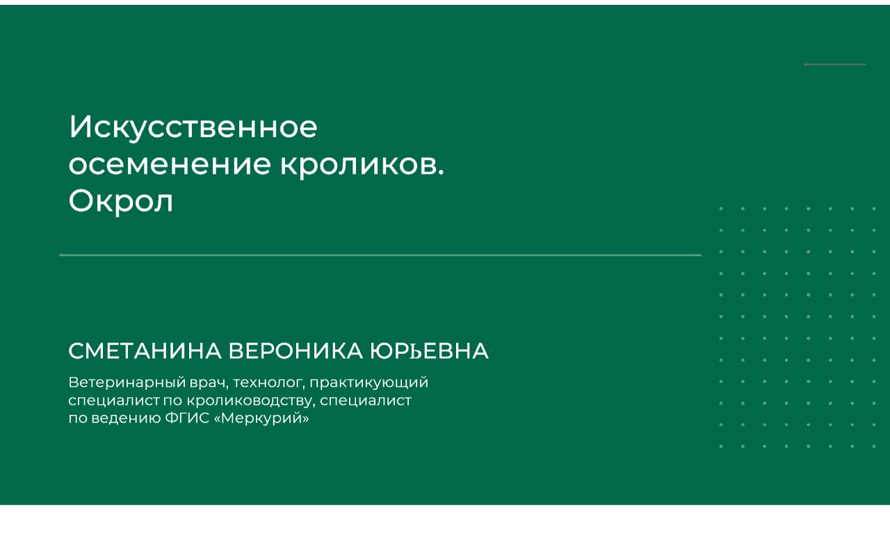 Вероника Сметанина Искусственное осеменение кроликов. Окрол 2024 слив курса