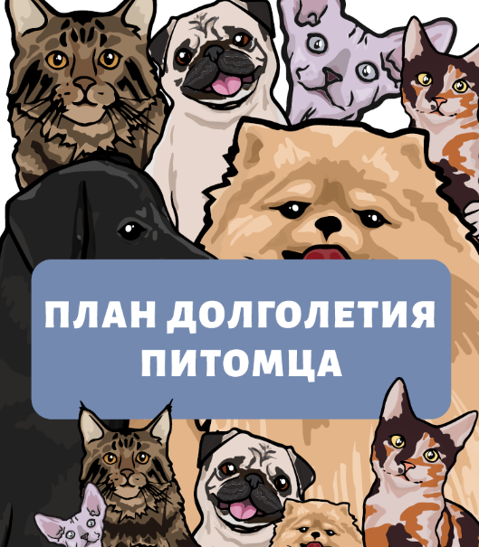 Наталья Федосеева Гайд «План долголетия питомца» 2022 слив курса