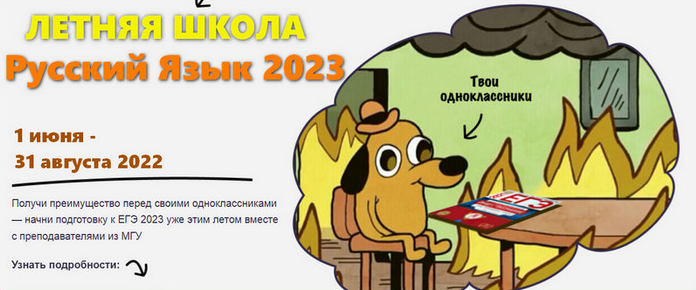Олеся Николаевна Lomonosov.school ЕГЭ Русский язык 2023 Летняя школа 2022 слив курса