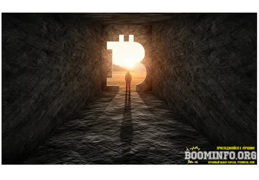 Monster DefiWorld - введение хомяка в мир крипты 2021 слив