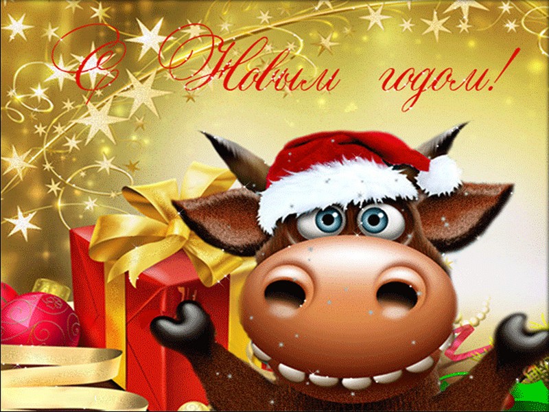 Подравляем всех с Новым 2021 годом!!! слив курса