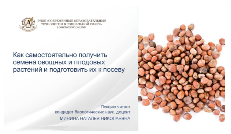Наталья Минина Как самостоятельно получить семена овощных и плодовых растений и подготовить их к п слив курса
