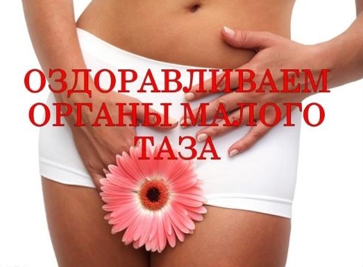 Курс по оздоровлению органов малого таза «Апана» - Луганский 2017 слив курса