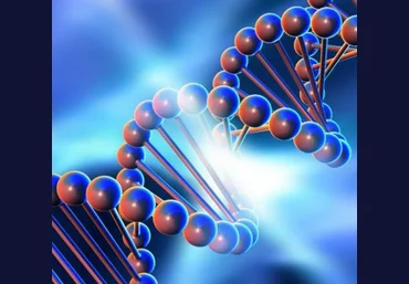 Genetics FY Практический курс по детоксу эстрогенов. Тариф Я сам 2024 слив