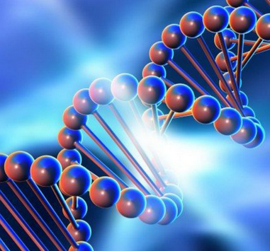 Genetics FY Практический курс по детоксу эстрогенов. Тариф Я сам 2024 слив курса