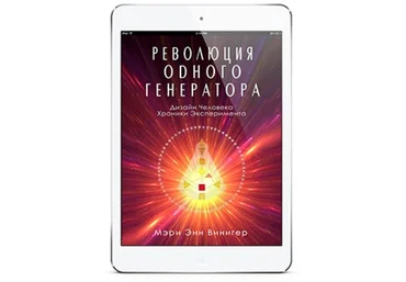 Революция одного генератора - Винигер 2014 слив