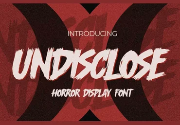 Fontbundles Undisclose Font 2022 скачать слив