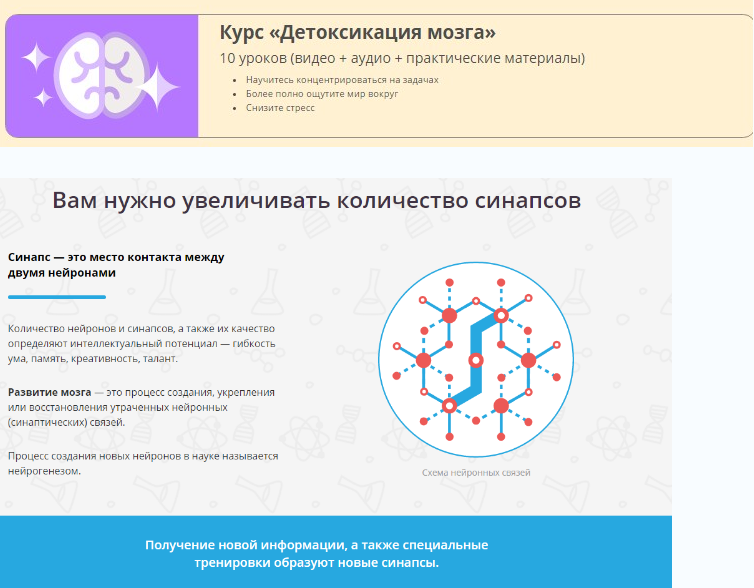 Детоксикация мозга - Викиум 2016 слив курса