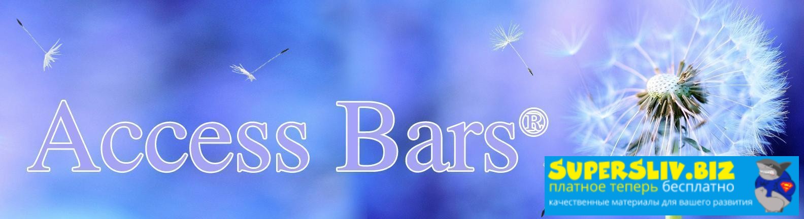 Access consciousness Гэри Даглас, Дейн Хиир ― Видео-инструкция и схемы к Access Bars 2023 слив курса