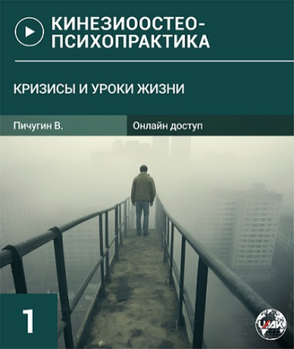Вячеслав Пичугин Кризисы и Уроки жизни-1 2024 слив курса