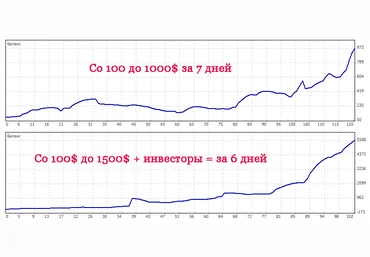 Школа трейдинга. Обучение в группе Антон Бергов слив