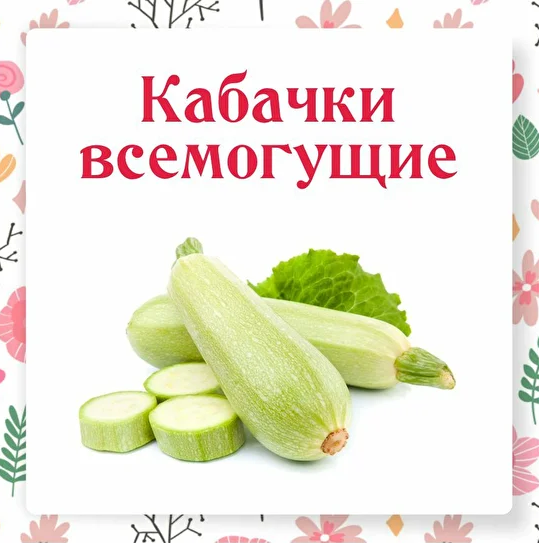 Ольга Данчук, Елена Воронцова Ленивый кулинар Кабачки всемогущие 2022 слив курса