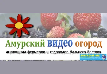 Amurogorod Полный курс по ведению приусадебного хозяйства 2019 слив