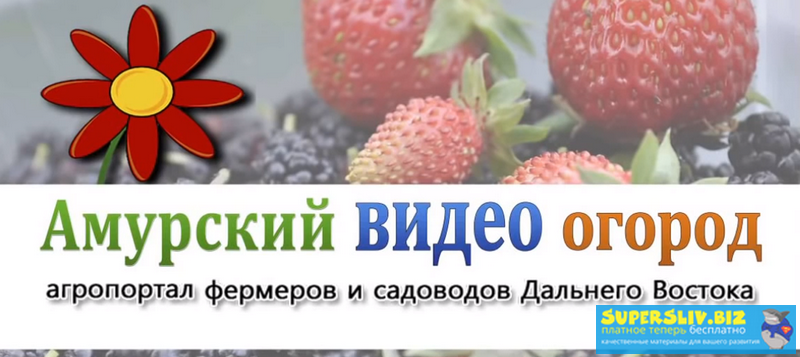Amurogorod Полный курс по ведению приусадебного хозяйства 2019 слив курса