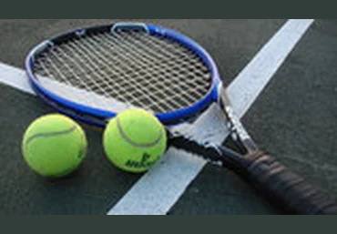 Программа Landi-Bet Tennis MyScore слив