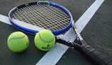 Программа Landi-Bet Tennis MyScore слив курса