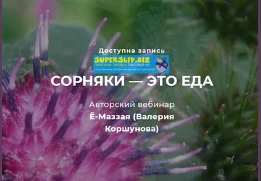 Валерий Коршунов Сорняки — это еда! 2019 слив