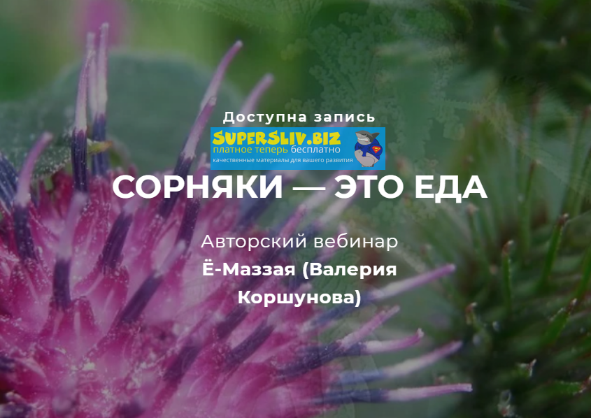 Валерий Коршунов Сорняки — это еда! 2019 слив курса