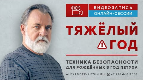 Александр Литвин Тяжелый год. Техника безопасности для рожденных в год Петуха 2023 слив курса