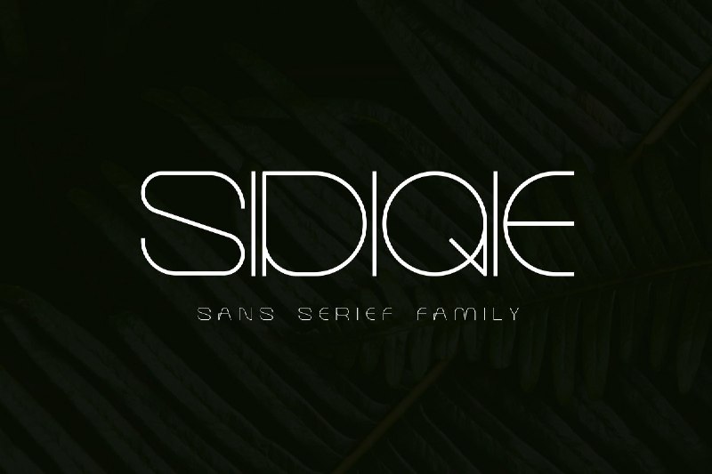 Сreativefabrica Sidiqie Family слив курса