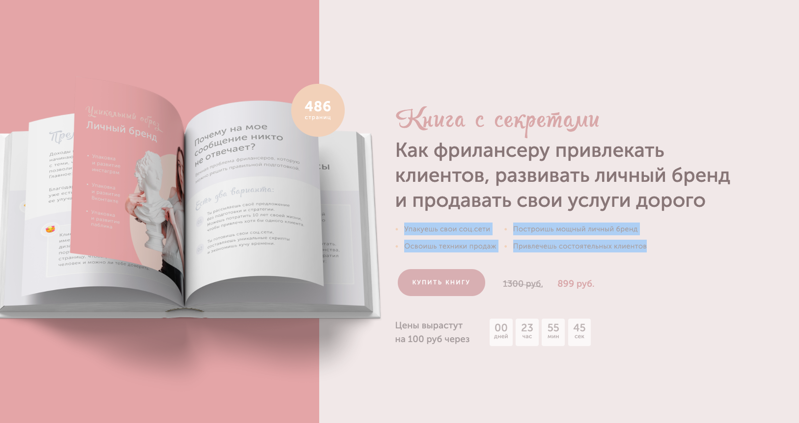 Элианора Муллагалиева Как фрилансеру привлекать клиентов 2020 слив курса