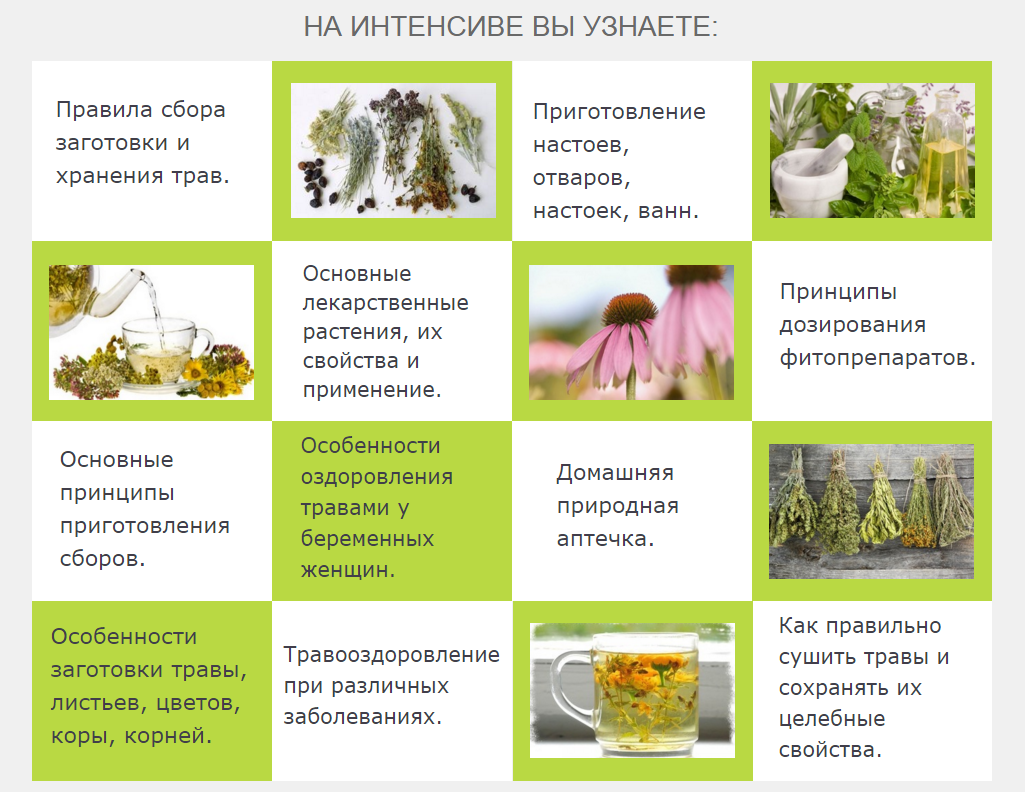 Травы для здоровья всей семьи на каждый день - Зименская 2016 слив курса