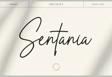 Creativefabrica Sentania Font 2021 слив
