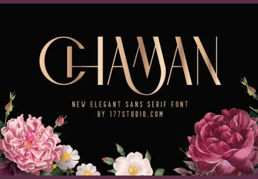 Creativefabrica Chaman Elegant Font слив