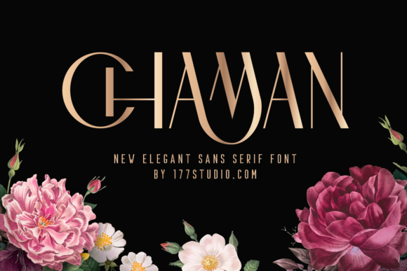 Creativefabrica Chaman Elegant Font слив курса