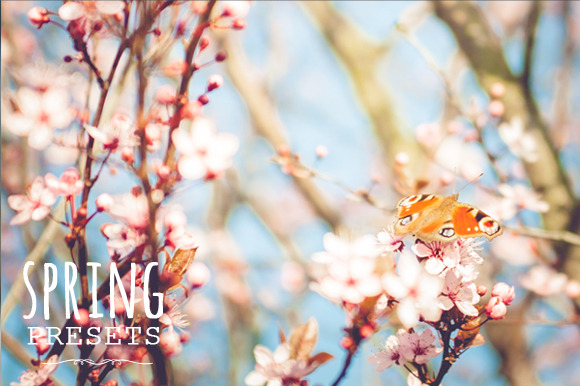 Pastel Presets - Spring - 60 весенних пресетов для Lightroom от Creativemarket слив курса