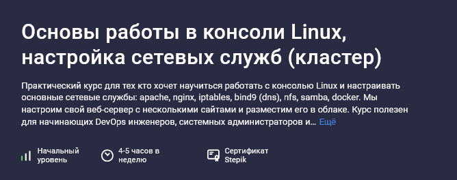 Ринат Минязев Stepik Основы работы в консоли Linux, настройка сетевых служб 2024 слив курса