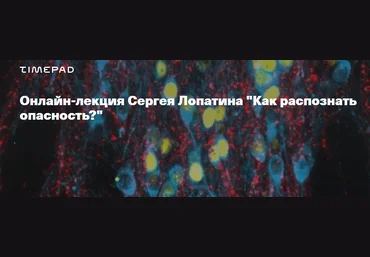 Timepad Сергей Лопатин ― Биология стресса. Лекция 1: Как распознать опасность? 2024 слив
