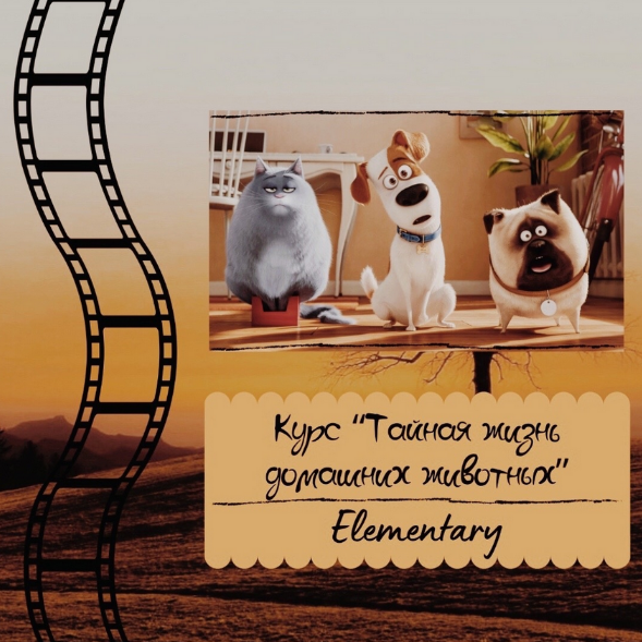 Евгения Сушкова Курс по мультфильму «Тайная жизнь домашних животных» 2024 слив курса