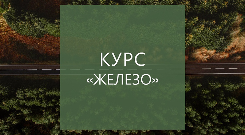 Елена Суханова Курс «ЖЕЛЕЗО» 2023 слив курса