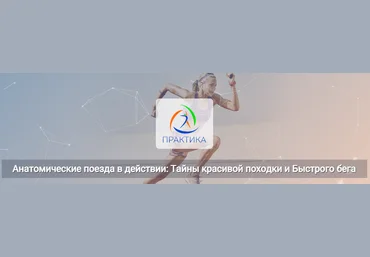 Анна Щербина Анатомические поезда в действии: тайны красивой походки и быстрого бега 2025 слив