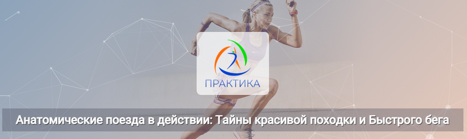 Анна Щербина Анатомические поезда в действии: тайны красивой походки и быстрого бега 2025 слив курса