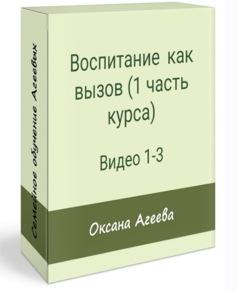 Семейное обучение Агеевых Воспитание как вызов Первая трилогия курса 2023 слив курса