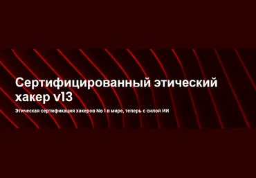 EC-Council CEH v13. Этичный хакинг и тестирование на проникновение. Часть 3 2024 слив