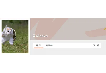 Owlsova Авито бизнес идеи с нуля. Скидка на продвижение 100% способ 2024 скачать слив